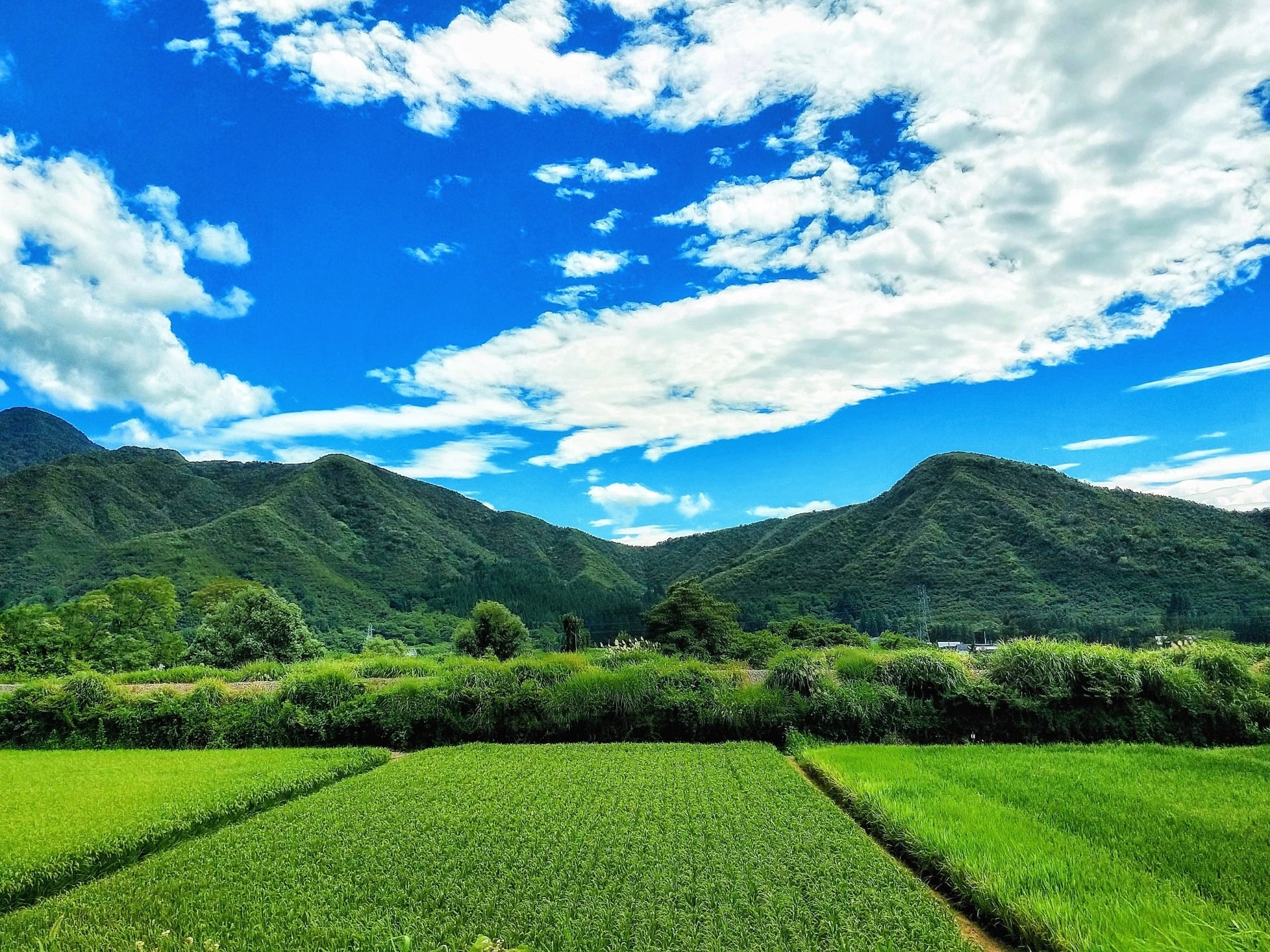 田舎